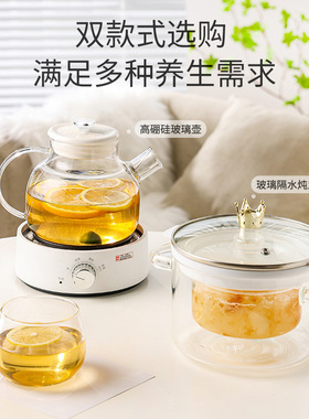 电炖盅家用炖煮一体玻璃