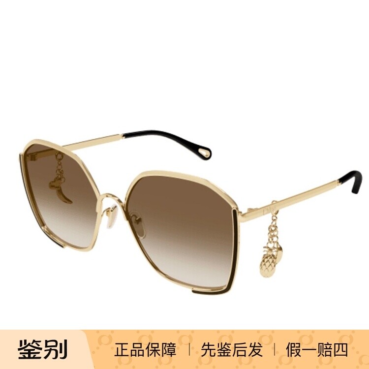 CHLOE蔻依女士太阳镜大框防紫外线墨镜CH0288S