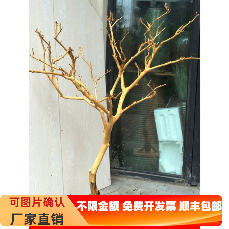 干树枝造景干枝树干许愿树枯树室内庭院造型树枝干原木树枝装饰树