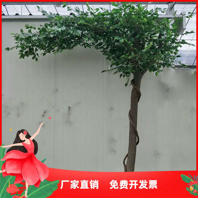 树桩装饰仿真榕树盆景树杆干树枝花艺客厅绿色摄影金钱树拱门道具