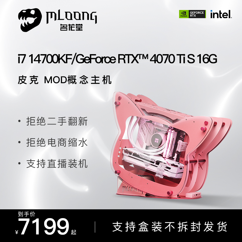 名龙堂皮克i7 14700KF/RTX4060Ti/4070TiS台式电脑主机直播高配电竞游戏水冷diy手工MOD组装概念整机 DIY电脑 DIY兼容机 原图主图