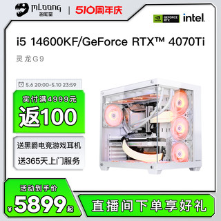 名龙堂 14代i5 14600KF/13600KF/RTX4060Ti/4070S游戏台式电脑主机直播整机DIY组装机高颜值海景房