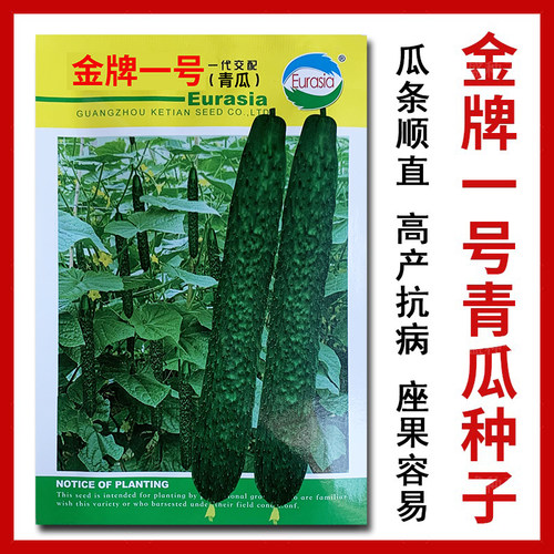 金牌一号黄瓜种子高产抗病