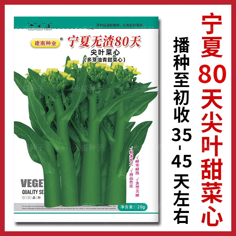 甜菜心种子四季青菜籽种
