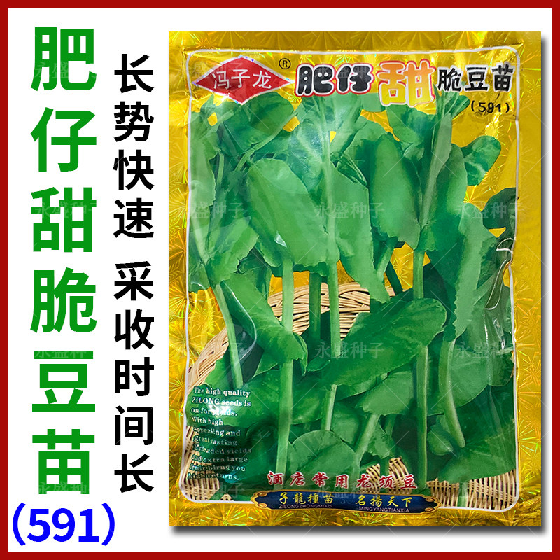 肥仔甜脆豆苗菜种子无须豌豆尖种龙须菜豌豆苗芽苗菜种籽蔬菜种孑