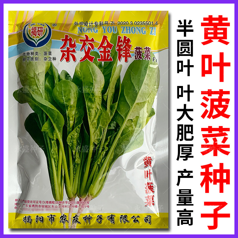 黄叶菠菜籽种叶肉肥厚大叶菠菜种子高产菠菜种籽春秋冬季蔬菜种孑,鲜花速递/花卉仿真/绿植园艺,家庭园艺种子,淘宝优惠券,粉丝福利购,淘宝优惠卷