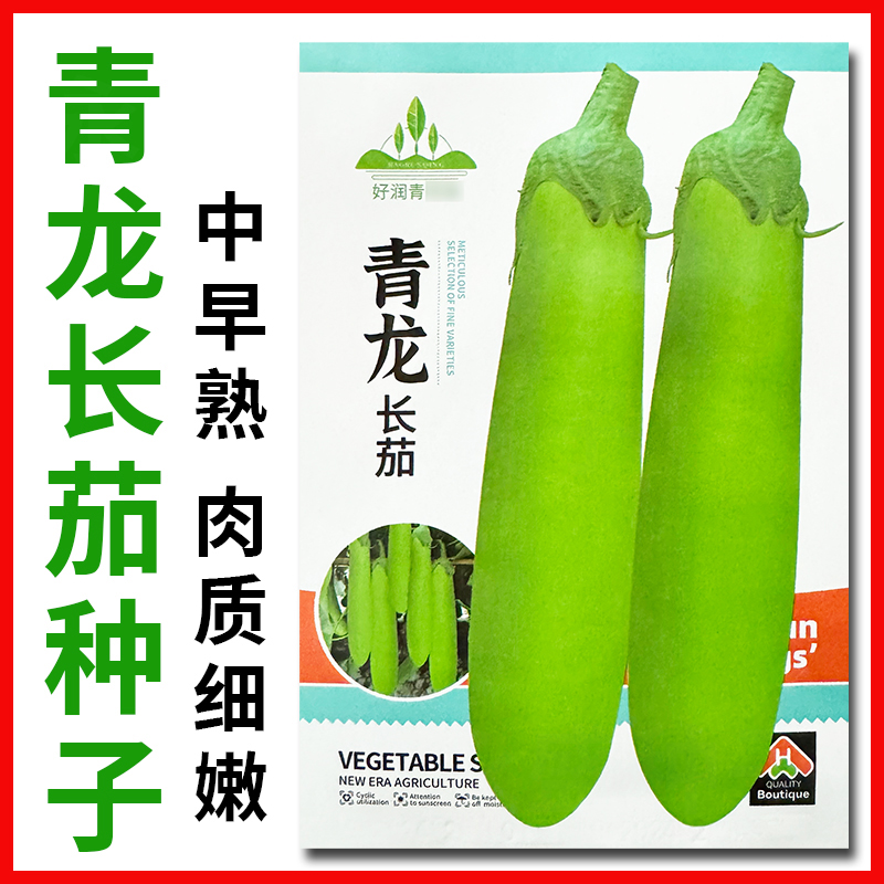 青龙长茄种子中早熟肉质细嫩