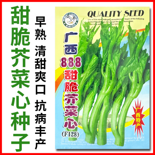 甜脆芥菜心种子早熟清甜爽口丰产