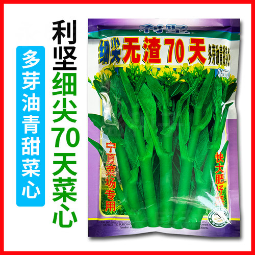利坚细尖70天菜心种子甜脆无渣