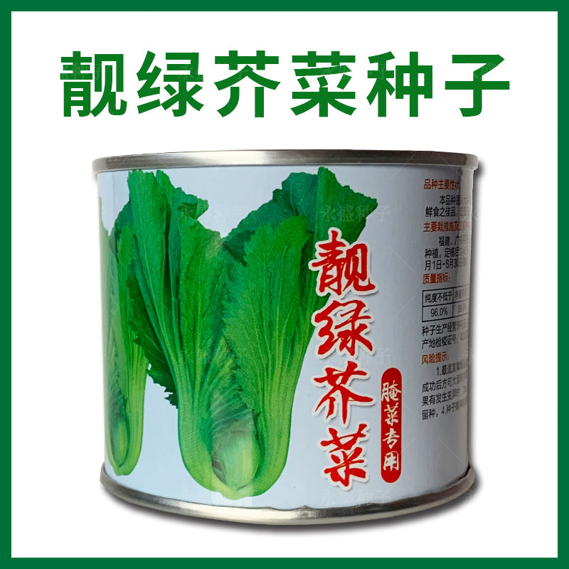靓绿芥菜种籽大坪埔包心芥菜种子腌制酸菜大肉介菜菜种蔬菜种孑