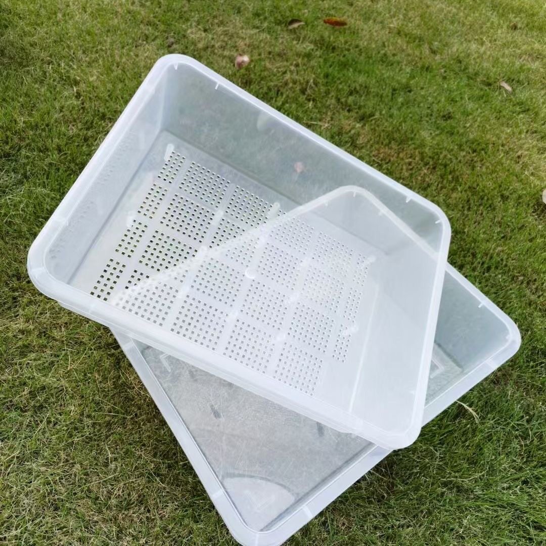 饲养隔离发色育苗分离透明双层猫砂盆带盖懒人猫砂盆加高乌龟,宠物/宠物食品及用品,爬宠缸/箱,淘宝优惠券,粉丝福利购,淘宝优惠卷