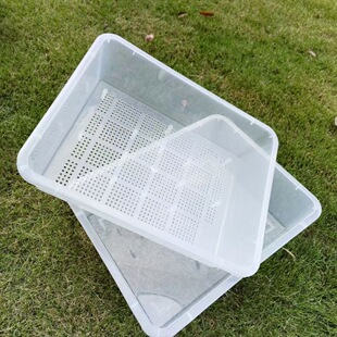 饲养隔离发色育苗分离透明双层猫砂盆带盖懒人猫砂盆加高乌龟