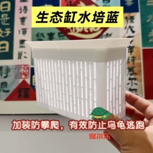 鱼缸龟缸水草定植篮壁挂式 饰防止乌龟攀爬护绿植水草种植篮 造景装