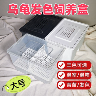 乌龟缸饲养隔离育苗盒沉淀板发色盒养龟隔离桌面温室温箱专用龟盒