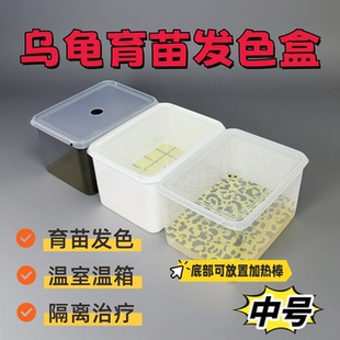 乌龟发色盒饲养盒龟苗发色板蛋龟头纹发色盒窄桥果核头盔发色专用
