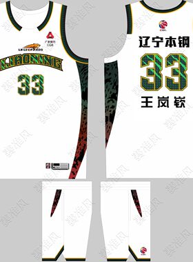 CBA辽宁队球衣王岚嵚33赵继伟3号