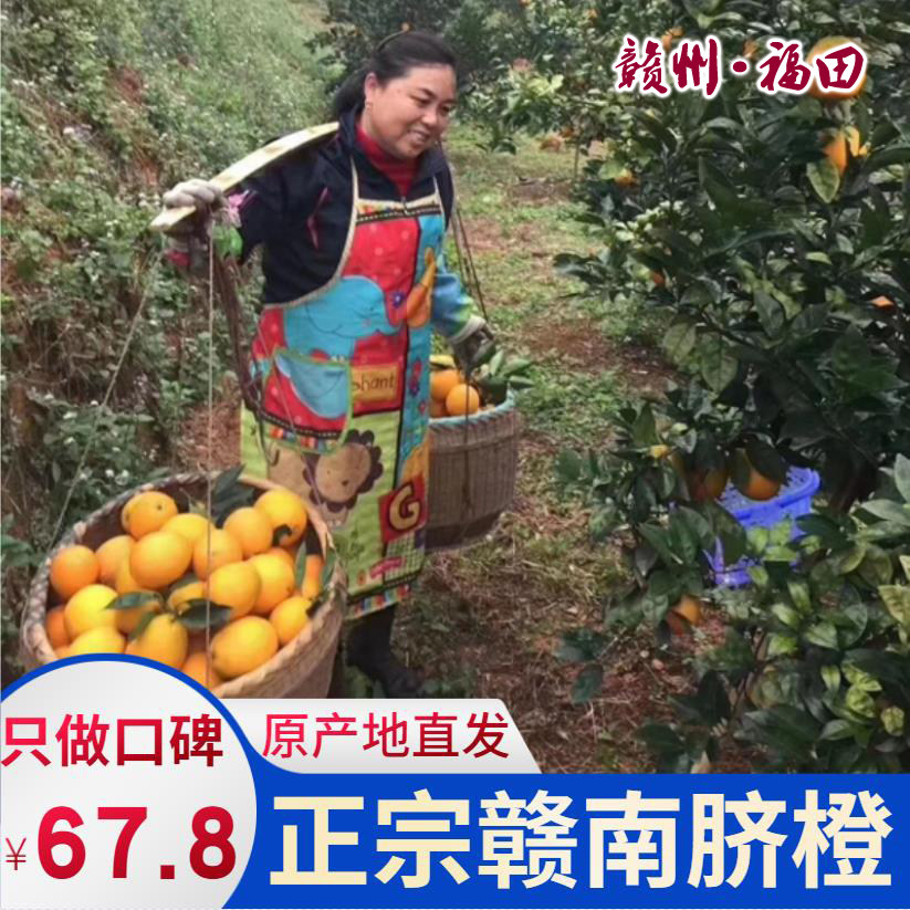 赣南脐橙孕妇水果10斤新鲜现摘江西赣州应季超甜手剥农家橙子包邮,水产肉类/新鲜蔬果/熟食,橙,淘宝优惠券,粉丝福利购,淘宝优惠卷