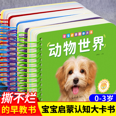 撕不烂可啃咬幼儿启蒙认知早教书