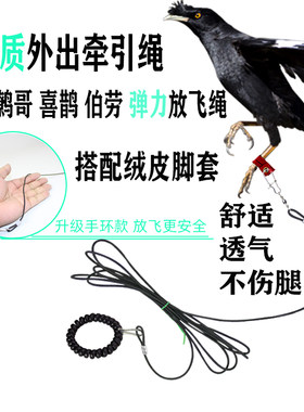 八哥鹩哥外出放飞牵引绳弹力轻便