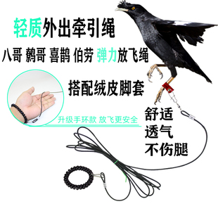 鸟用轻便放飞绳八哥鹩哥白颈乌鸦伯劳外出牵引遛鸟绳不伤脚绒皮脚
