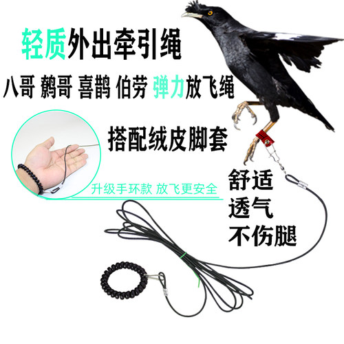 八哥鹩哥外出放飞牵引绳弹力轻便