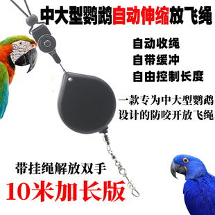 鹦鹉伸缩放飞绳自动收绳缓冲遛鸟绳不伤脚钛钢脚环蓝黄大金刚放飞