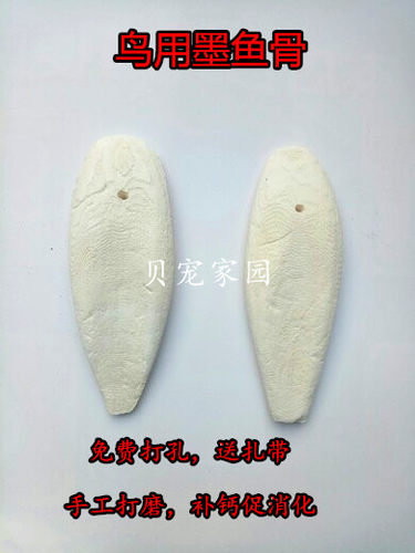打磨消毒鸟用墨鱼骨/海螵蛸/虎皮鹦鹉墨鱼骨/龟松鼠补钙用品