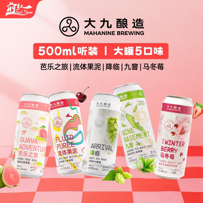 大九酿造精酿啤酒古斯果啤ipa马冬莓芭乐之旅降临流体果泥500ml