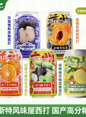国产精酿忒斯特风味屋西打水果啤酒 寻味之旅甘蔗马蹄冻梨杏皮茶