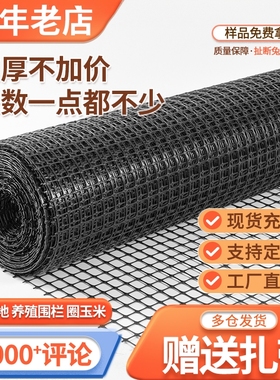 塑料网格养鸡围栏网鱼塘养殖防护栏菜地果园栅栏隔离拦鸡网圈玉米