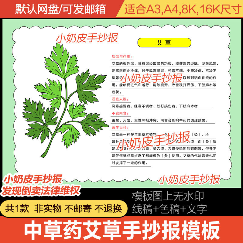 中药中草药艾草介绍解说手抄报植物小报模板电子版半成品线稿涂色