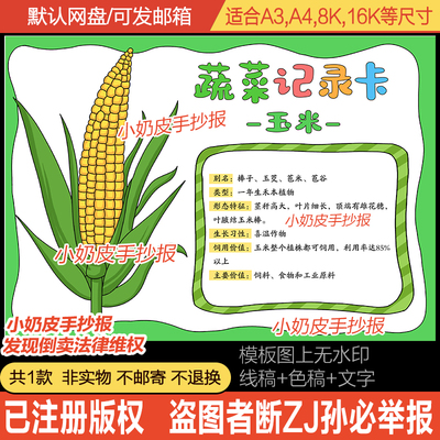玉米苞谷蔬菜植物记录卡手抄报自然笔记小报模板电子版简笔画黑线