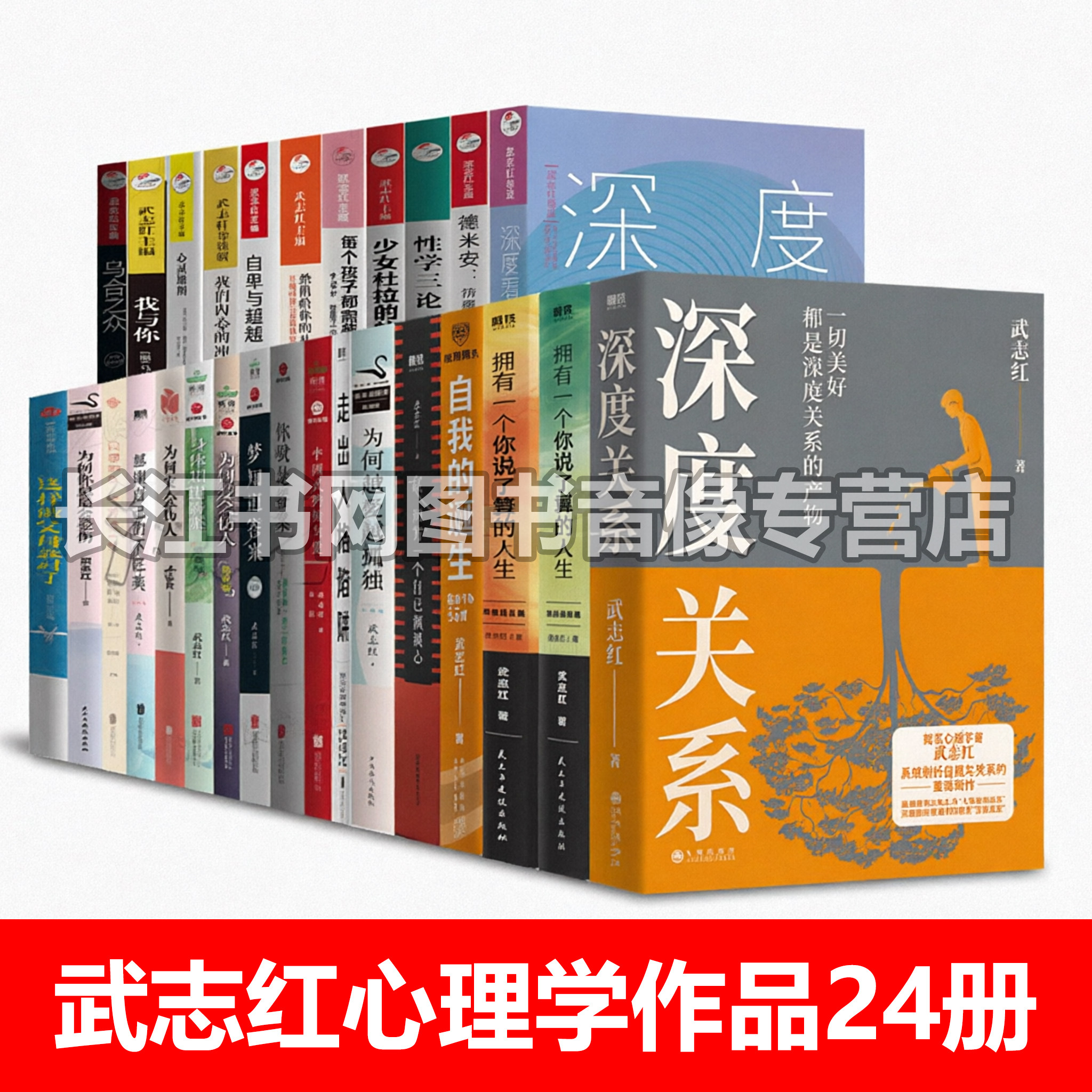 武志红心理学书籍【24册】
