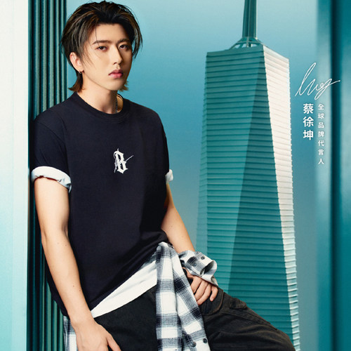 蔡徐坤同款哥特B印花宽松T恤