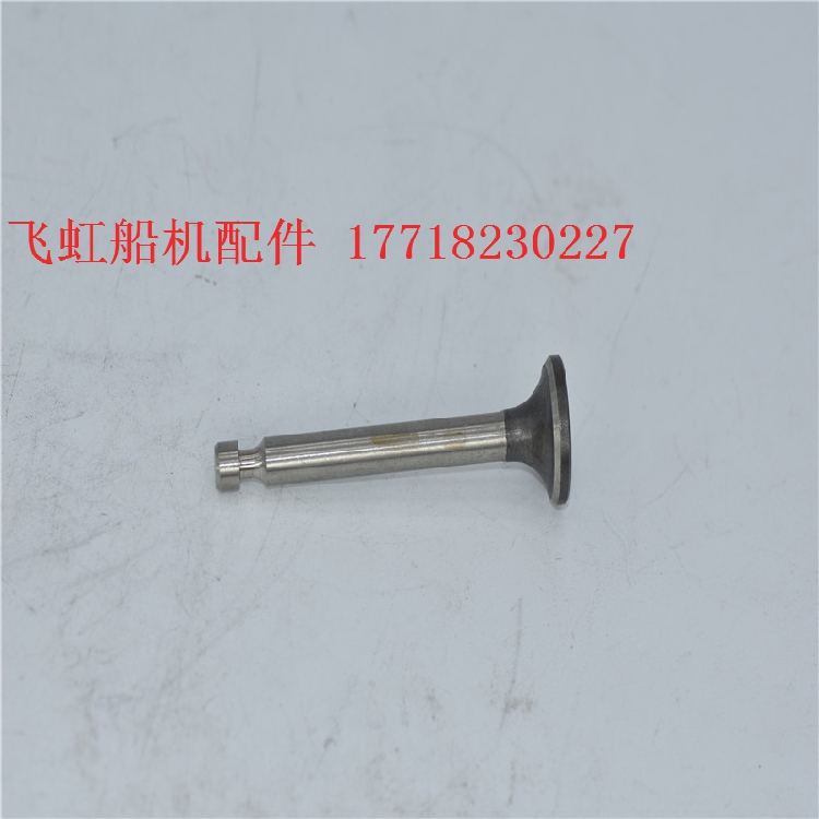 华盛中天泰山4-5匹马力发动机曲轴箱气门一对 冲锋舟钓鱼船橡皮艇