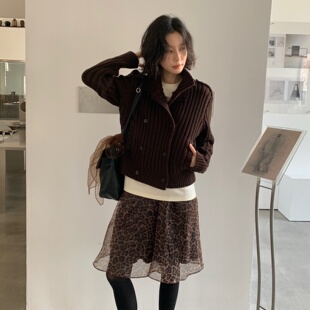 TCCW复古豹纹纱半身裙女设计感小众蓬蓬裙2026年冬季新款百搭短裙