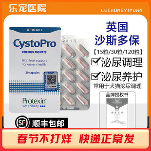 英国cystopro沙斯多保狗狗泌尿痛利尿通结石尿频尿血感染膀胱炎