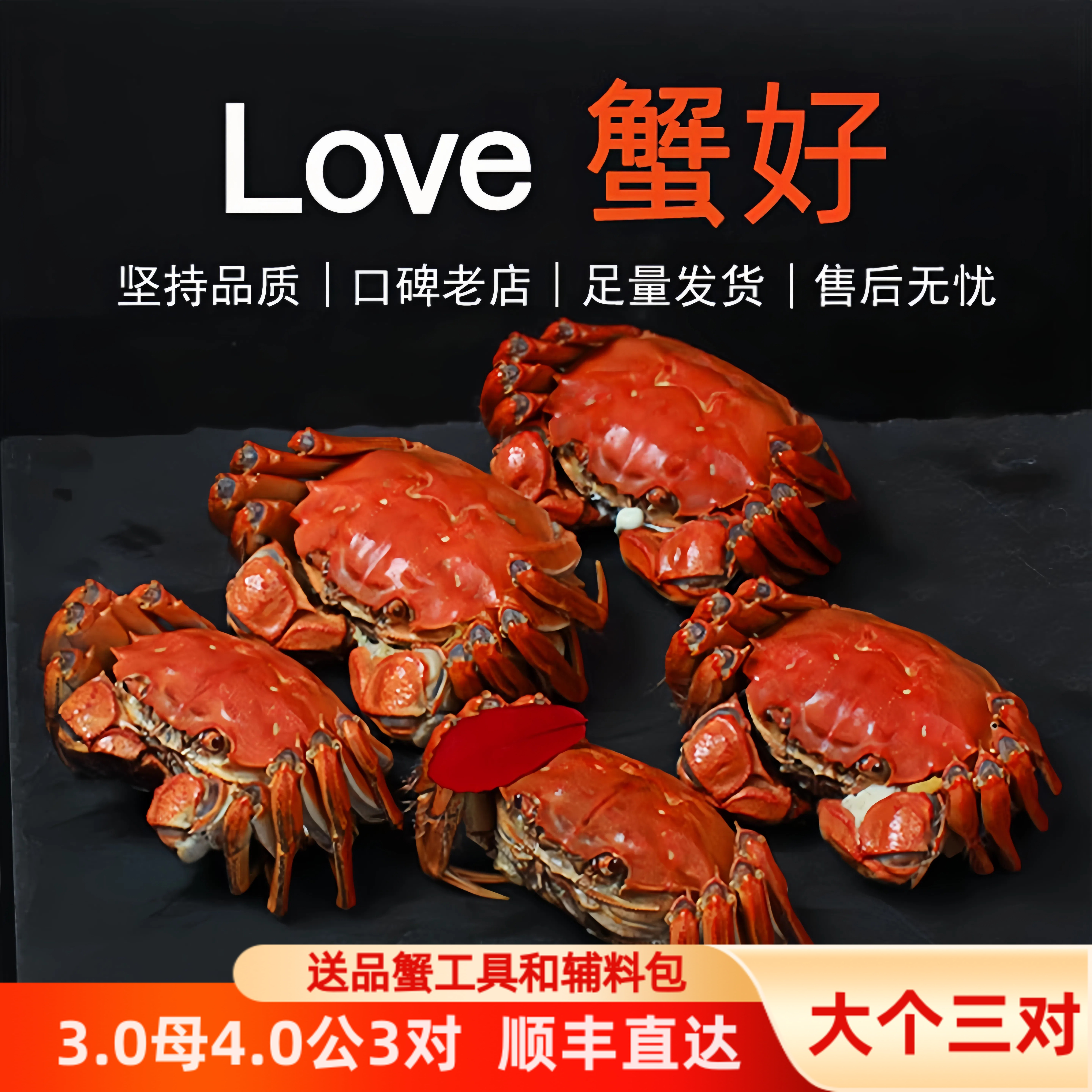现货6只大闸蟹母3两公4两