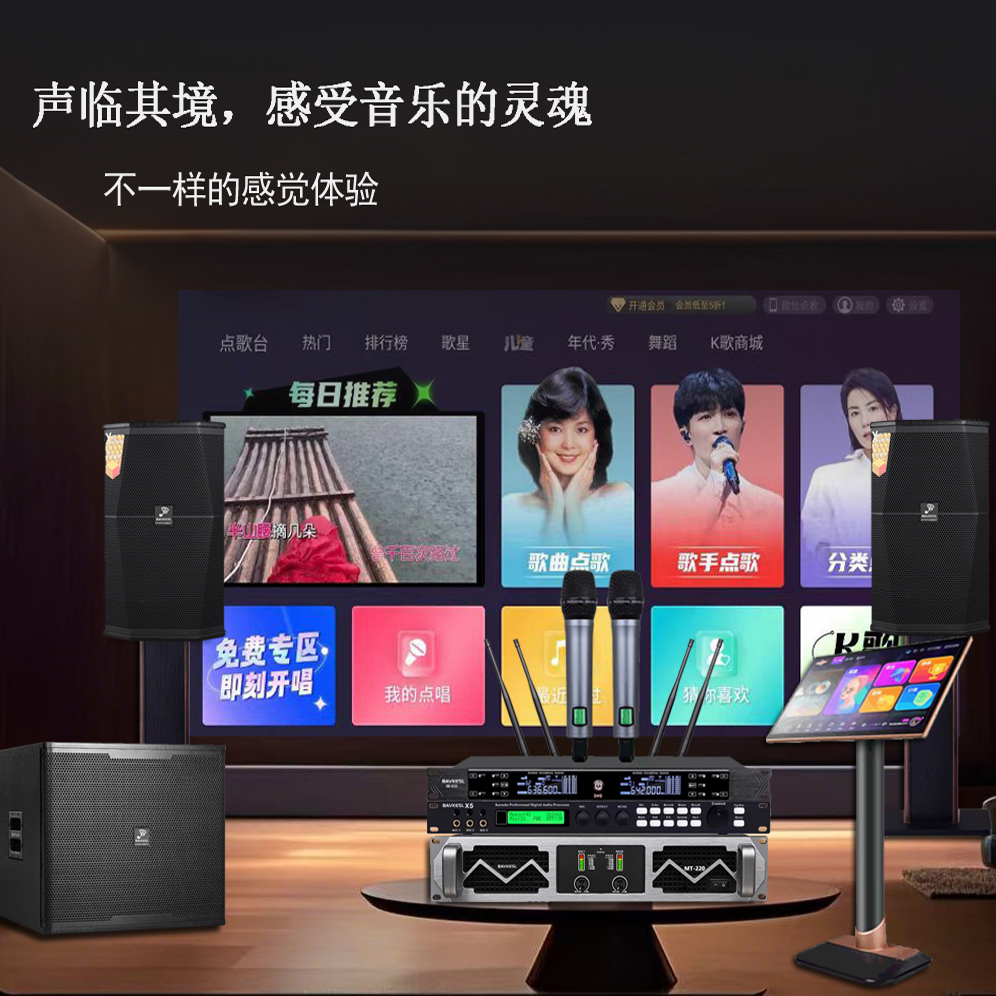 12寸家庭别墅会所清吧音响套装