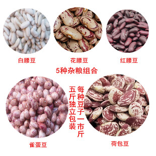 荷包豆红腰豆雀蛋豆白腰豆五种混合口味组合芸豆5斤包邮五谷杂粮