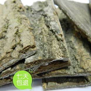 杜仲皮补肝肾强筋骨安胎气药材杜仲腰脊酸疼皮