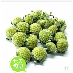 绿罗花500g西藏绿箩花绿萝非花茶绿萝花新货可配苦瓜片