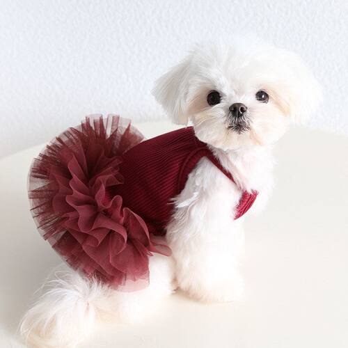 宠物狗狗猫咪春夏薄款衣服吊带蓬蓬裙连衣裙外出拍照马尔济斯比熊