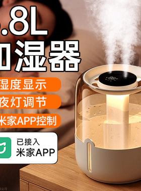 双喷雾USB静音家用加湿器