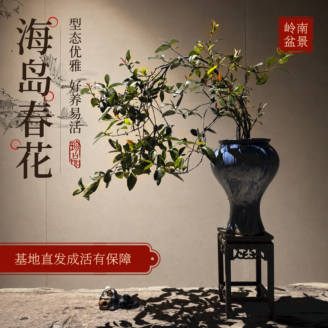 海岛春花盆景带盆发货绿植