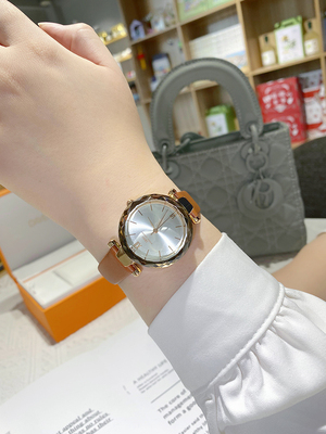 爱彼思诺IBSO正品时尚气质表盘小众轻奢女表真皮表带简约防水石英