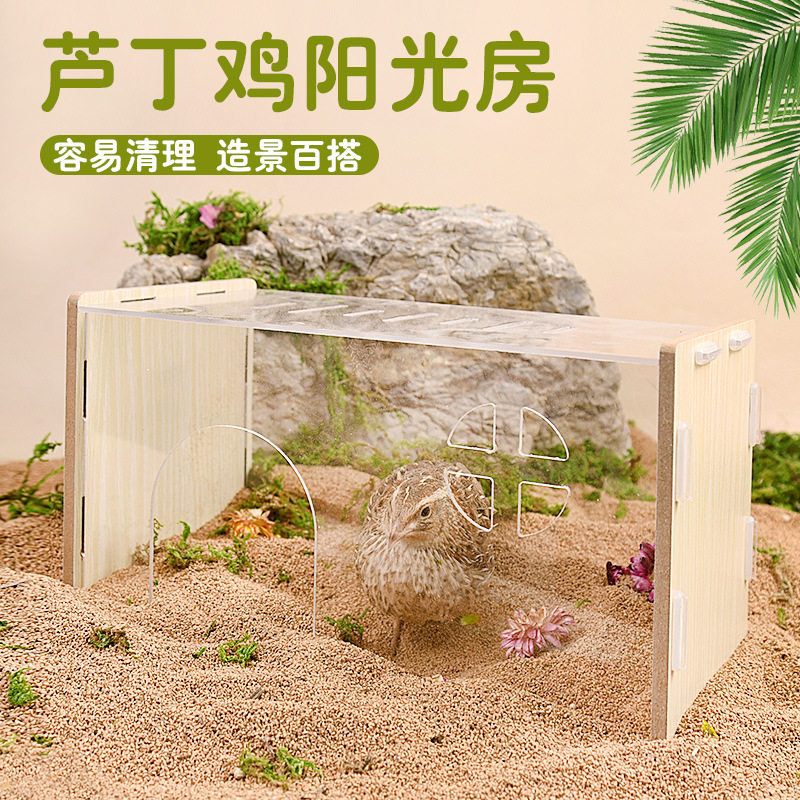 实木芦丁鸡饲养箱育雏养殖专用箱宠物窝房子恒温造景亚克力阳光房