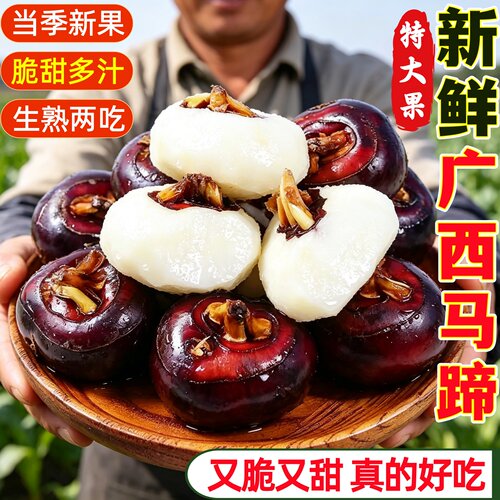 广西马蹄当季新鲜特大果脆甜多汁