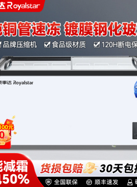 荣事达冰柜商用冷冻柜冷藏两用大容量卧式冷柜展示柜岛柜雪糕冰箱