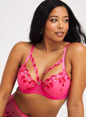 D12 欧美超大码女胸罩上托薄款文胸80G85G90G95CD100BF105E110DE